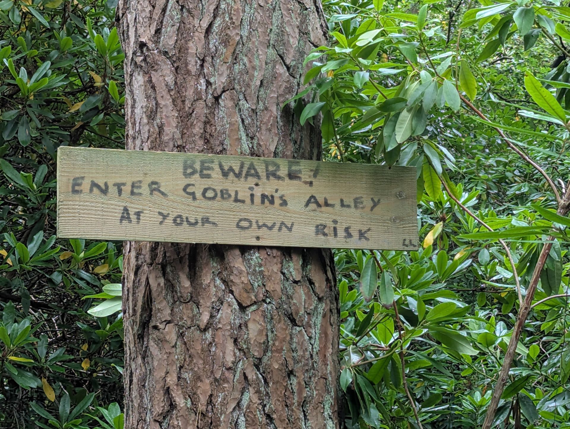 Beware! Enter Goblins Alley at your own risk 